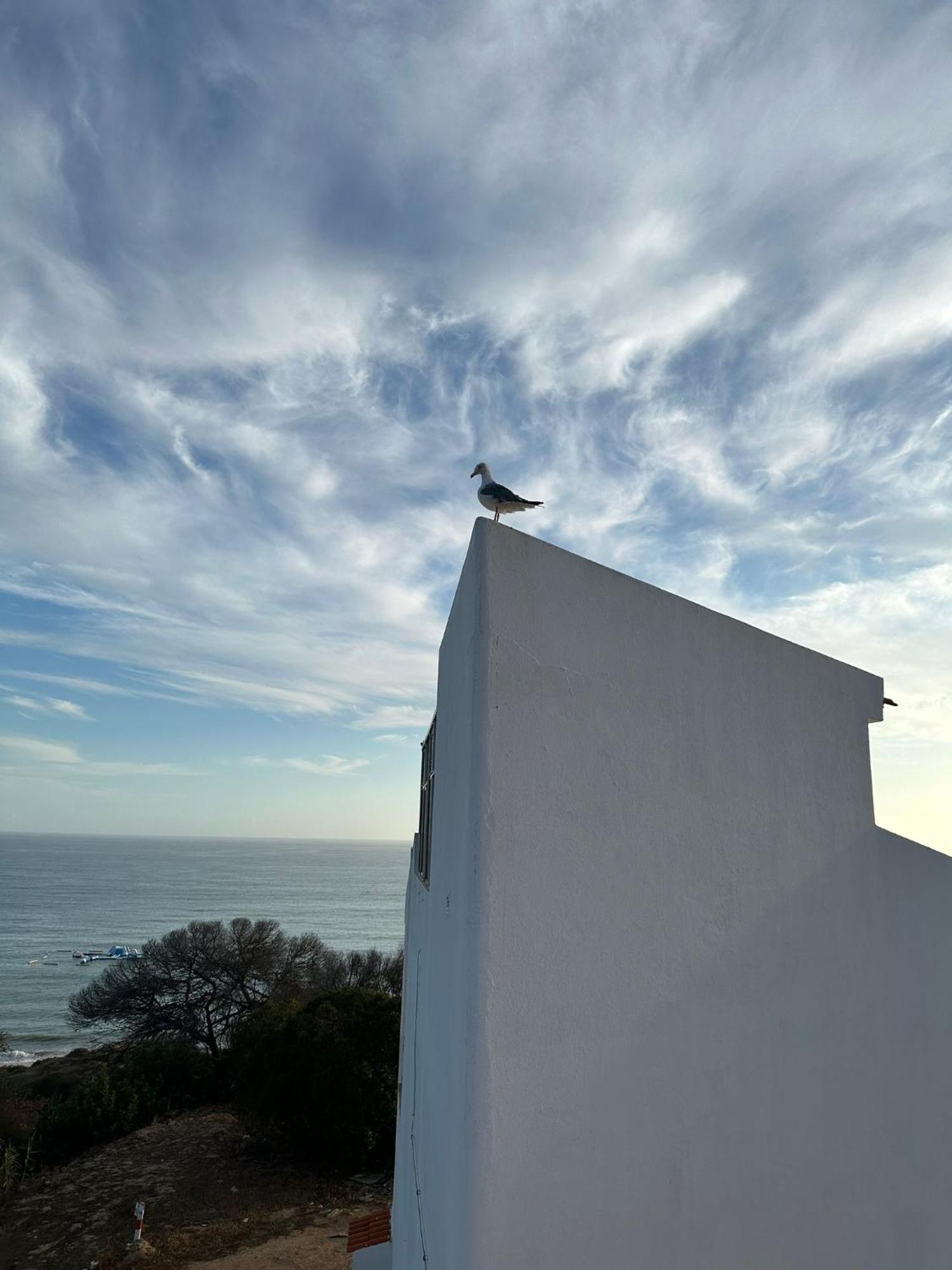 Golden Cliff House Lägenhet Albufeira Exteriör bild