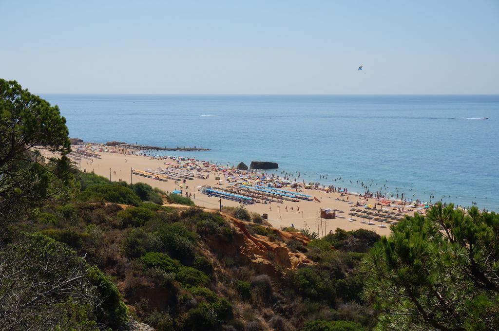 Golden Cliff House Lägenhet Albufeira Exteriör bild